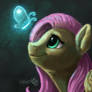 Magical butterfly