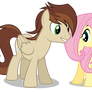 Gift: Rays and Fluttershy