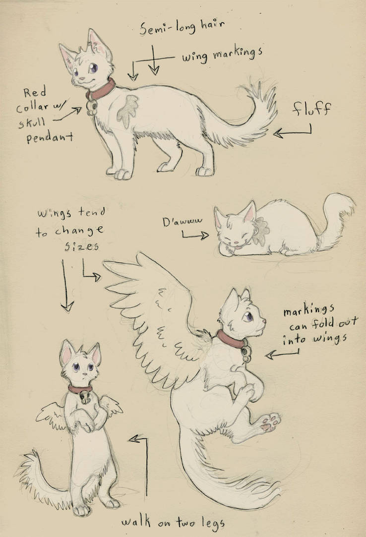 Sparky Cat Refrence by clickclackcat
