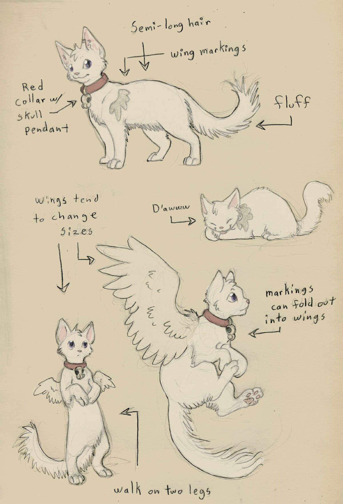 Sparky Cat Refrence by clickclackcat