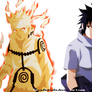 Naruto and Sasuke