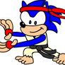 Sonic as Ryu