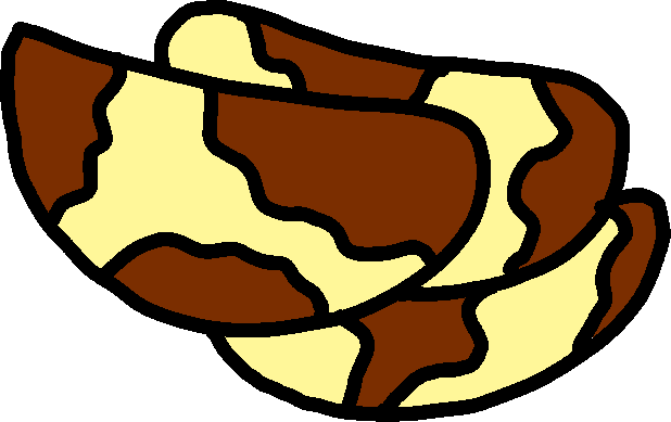 Brazil Nuts by Blackrhinoranger on DeviantArt