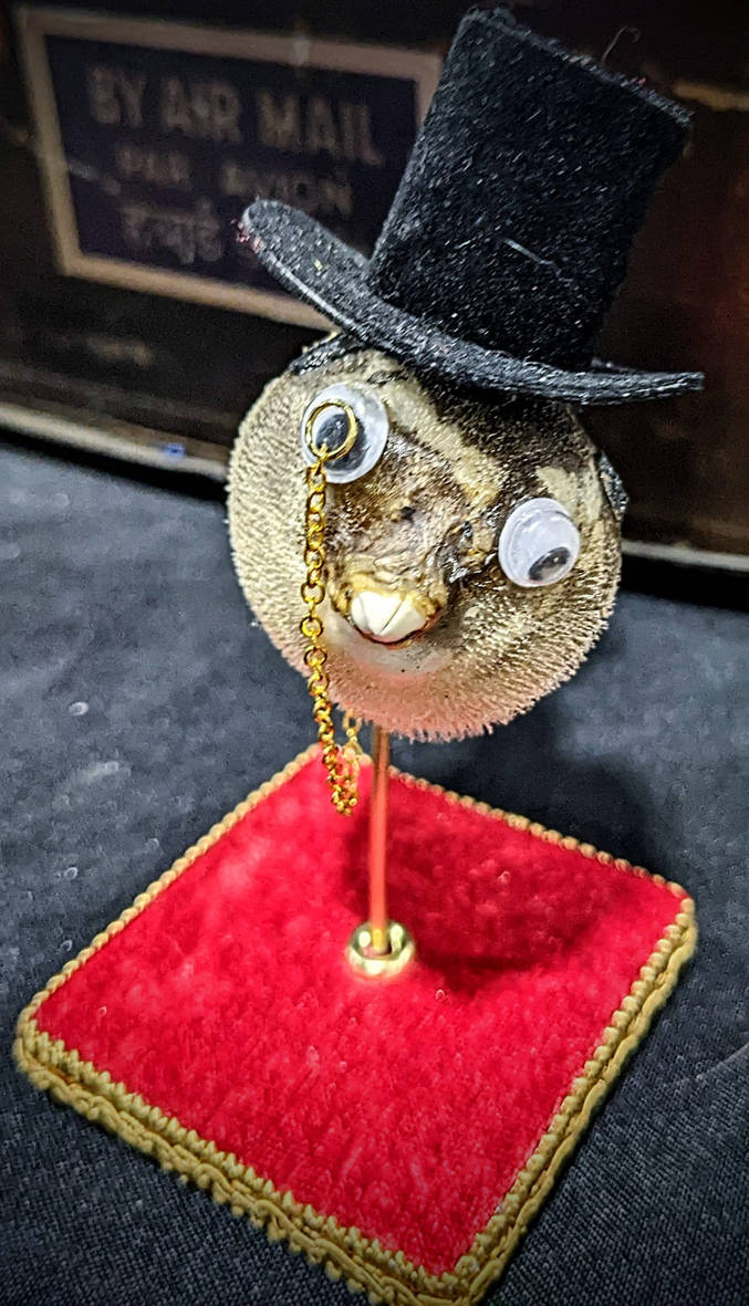 Dapper Fish Dapper Puffer Fish With Monocle by ArbitraryGingerPhoto on DeviantArt