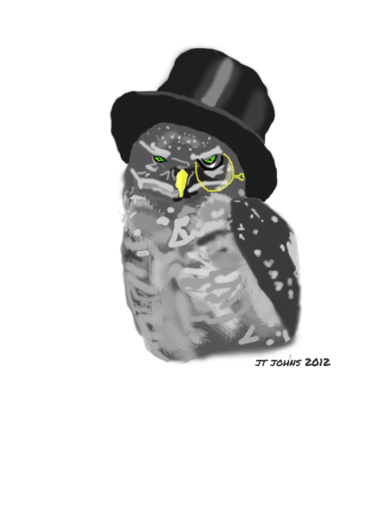 Owl in a Top hat