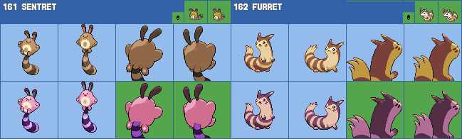 Sentret Evolution Form Sentret - Furret by EstebanAContreras on DeviantArt