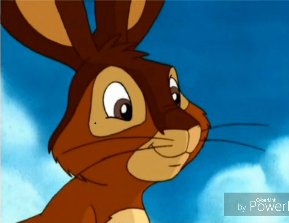 Fiver Rabbit by LucianFilms2 on DeviantArt