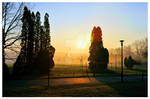 Sunrise, Park Slaski, Chorzow, Polska. by richardlewis50