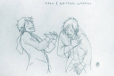 Fred and George Are Outrageous by Maseiya