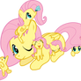 Fluttershys