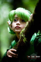 The Zelda Project: Saria