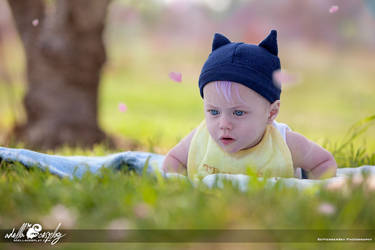 Cosplay: Baby Trunks Cosplay