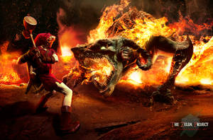 TZP: Link vs Volvagia