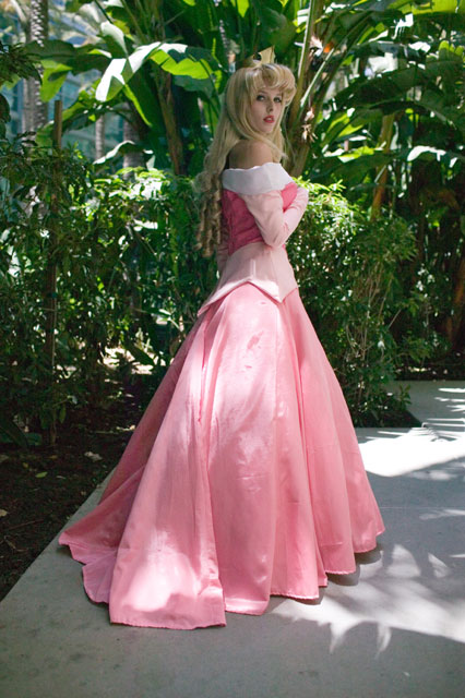 Princess Aurora Costume