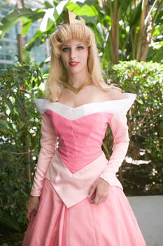 Sleeping Beauty Costume