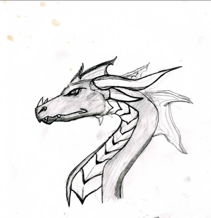 Serious Dragon by Shomakid123 on DeviantArt