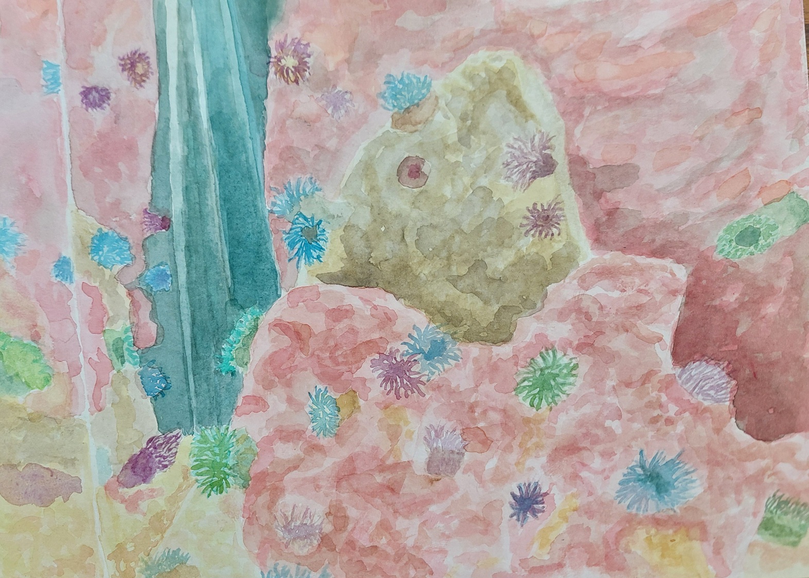 Anemonen