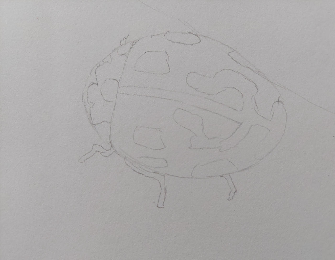 Chinese pimpanpoentje