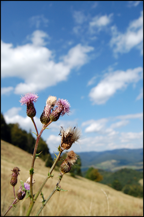 Pieniny-2