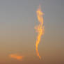 a seahorse in the sky