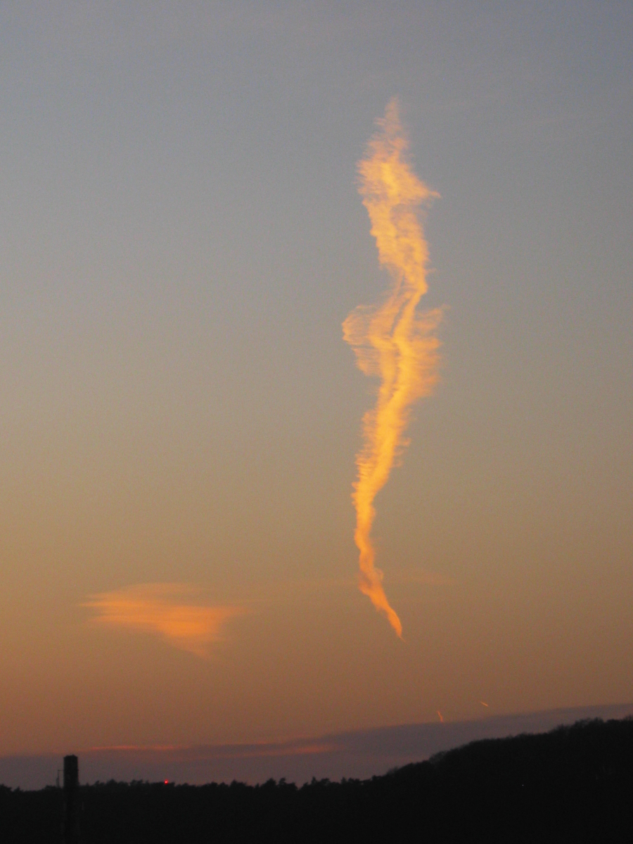 a seahorse in the sky