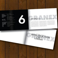 GRANEX - Brochure