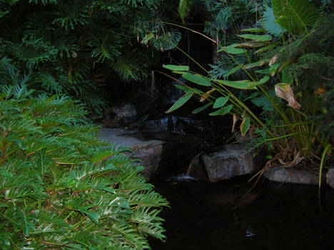 watefall at botanics