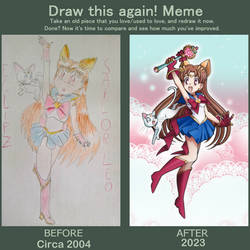 Draw this again! Sailor Leo 2004 vs 2023