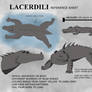 Lacerdili species reference sheet