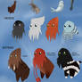 Sigillpi species sheet