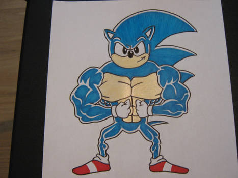 Sonic hitting the gym.
