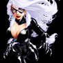 Black Cat