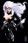 Black Cat by diablo2003