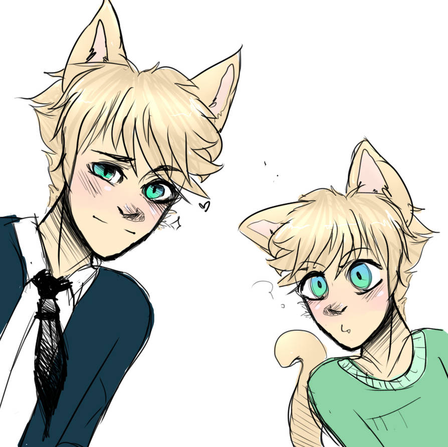 Webster my Rp oc by Lateci-A-rtist on DeviantArt