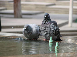 Bath Time