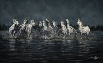 Horses of the Camargue