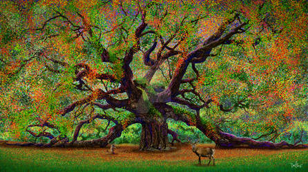 The Angel Oak