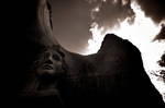 The Face within the Body by wtp