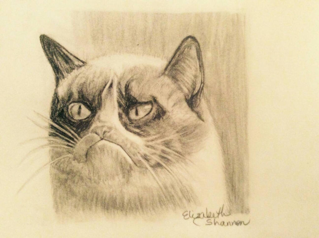 Grumpy Cat Rip Deviantart Grumpy Cat by swingdot on DeviantArt