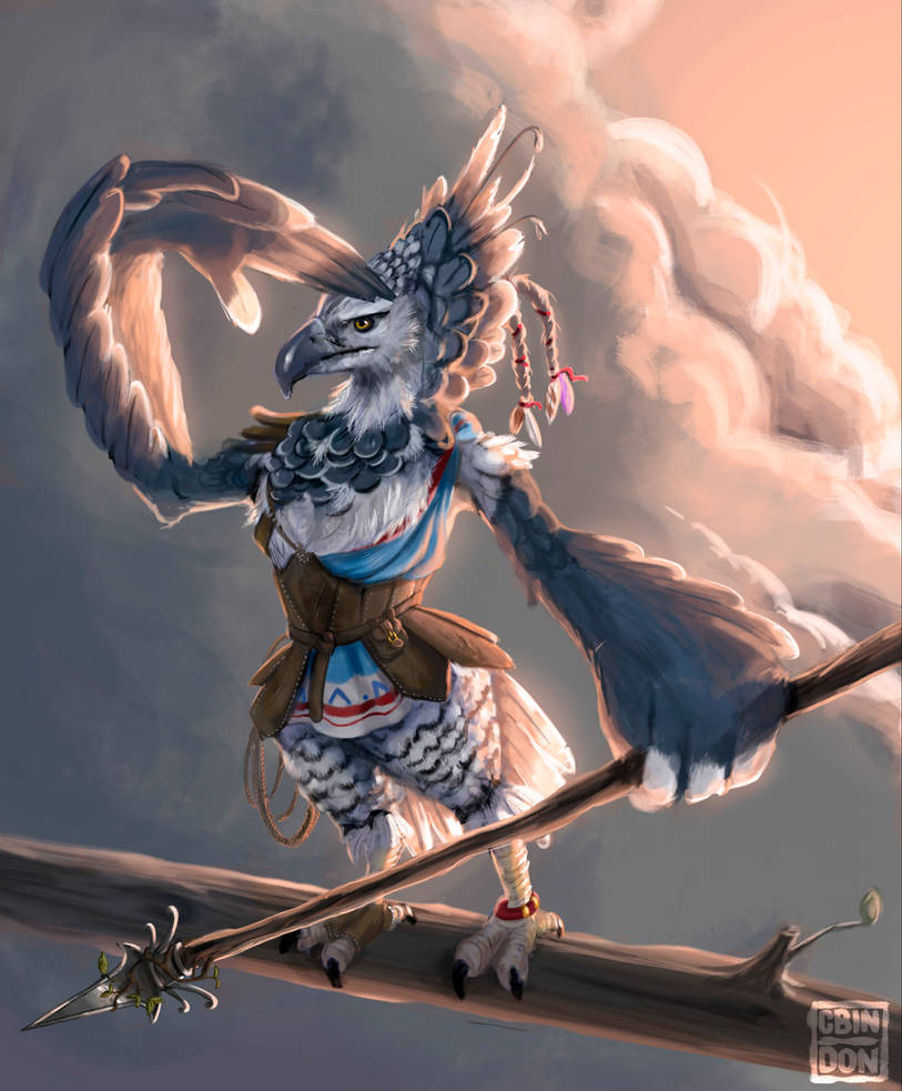 Cree Rito Character Rito Warrior by christinabindon on DeviantArt