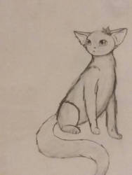 traditional art of a cat