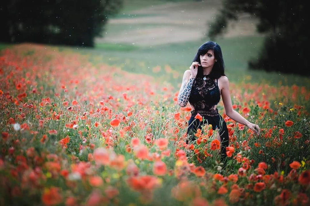 Poppy57 Poppy by xXEliskaXx on DeviantArt