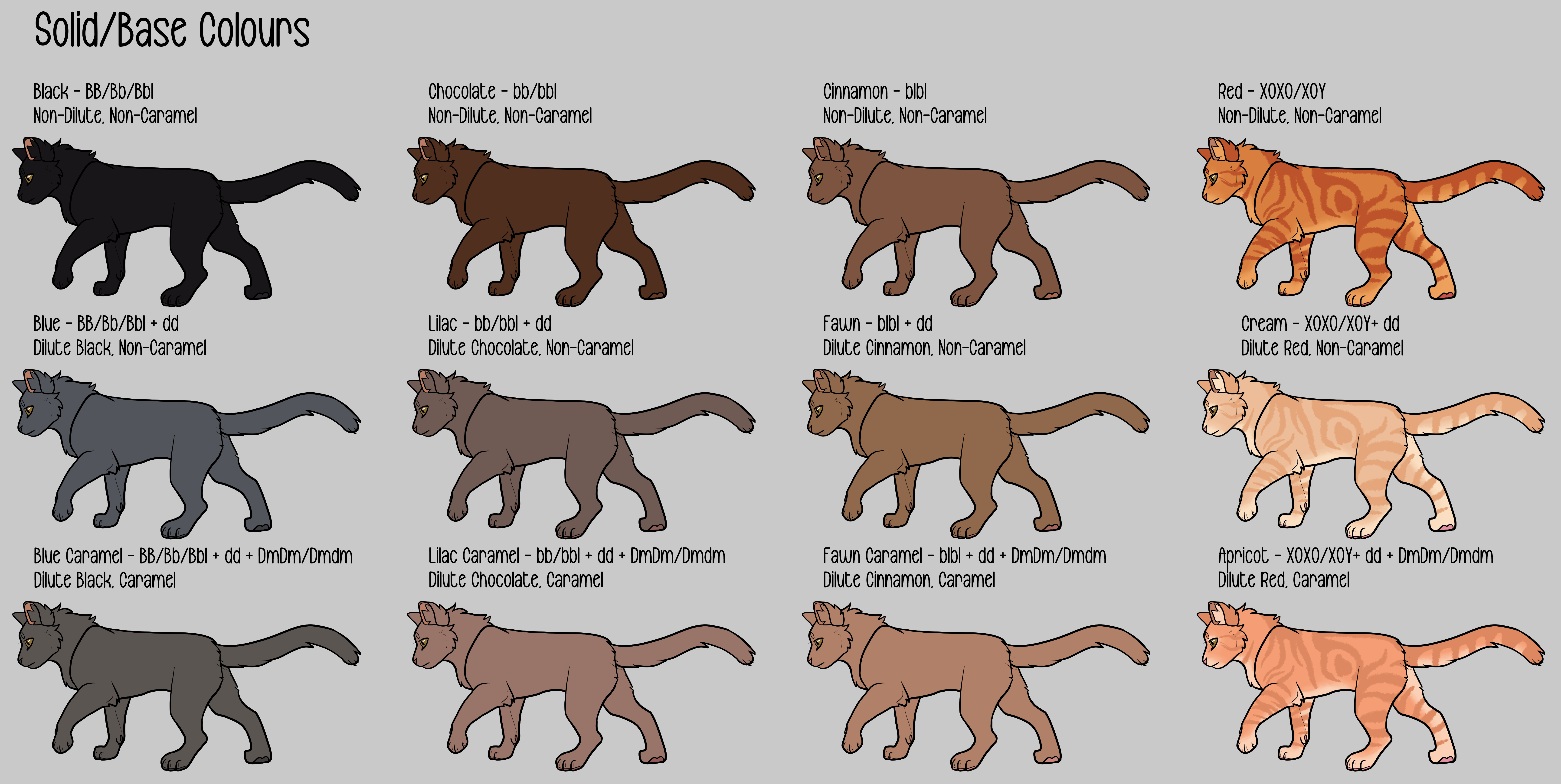 Cell Line Cat Color Pattern Cat Genetics Guide - Solids by willowwispp on DeviantArt