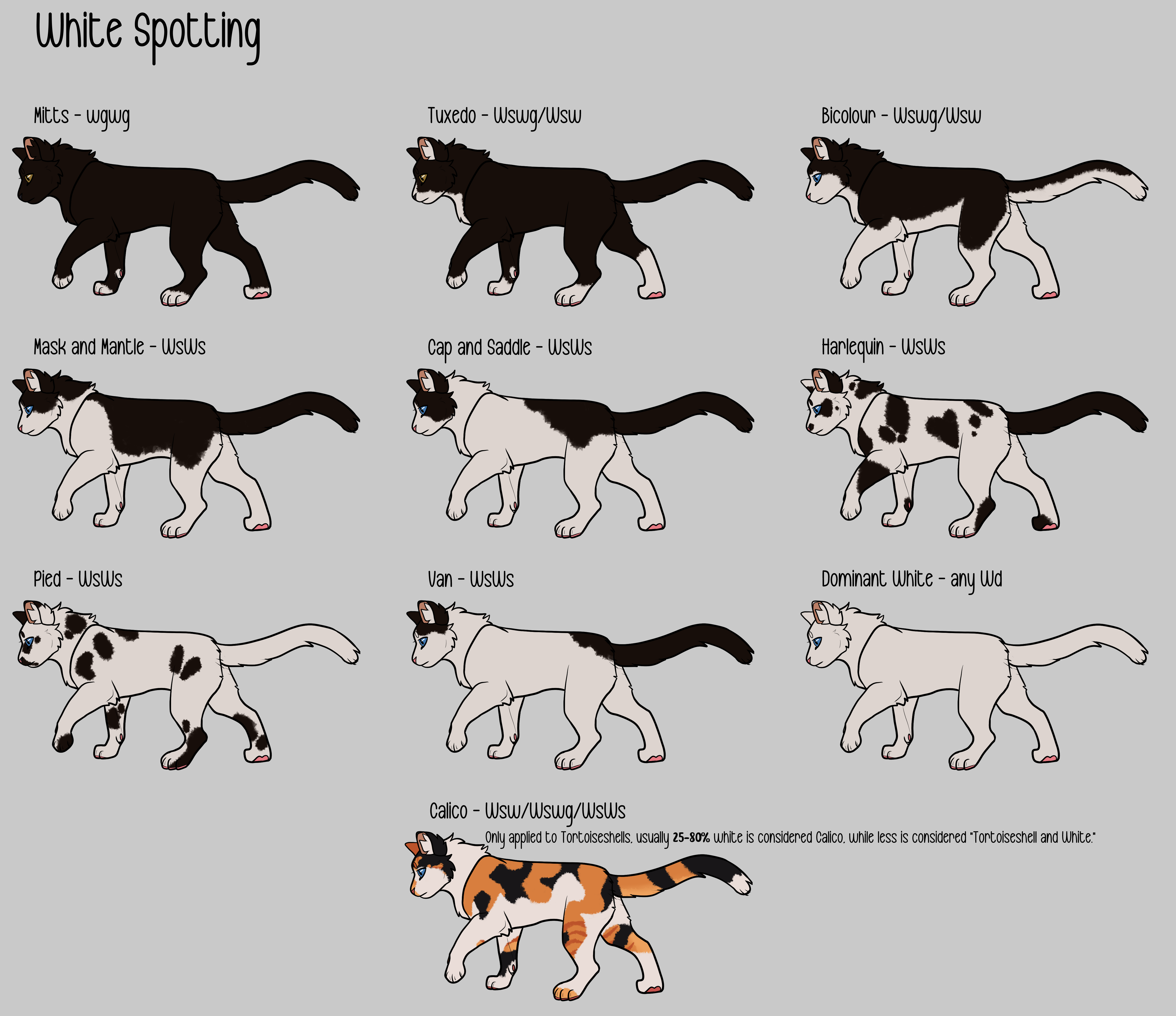 Cat Genetics Guide - White Spotting by willowwispp on DeviantArt