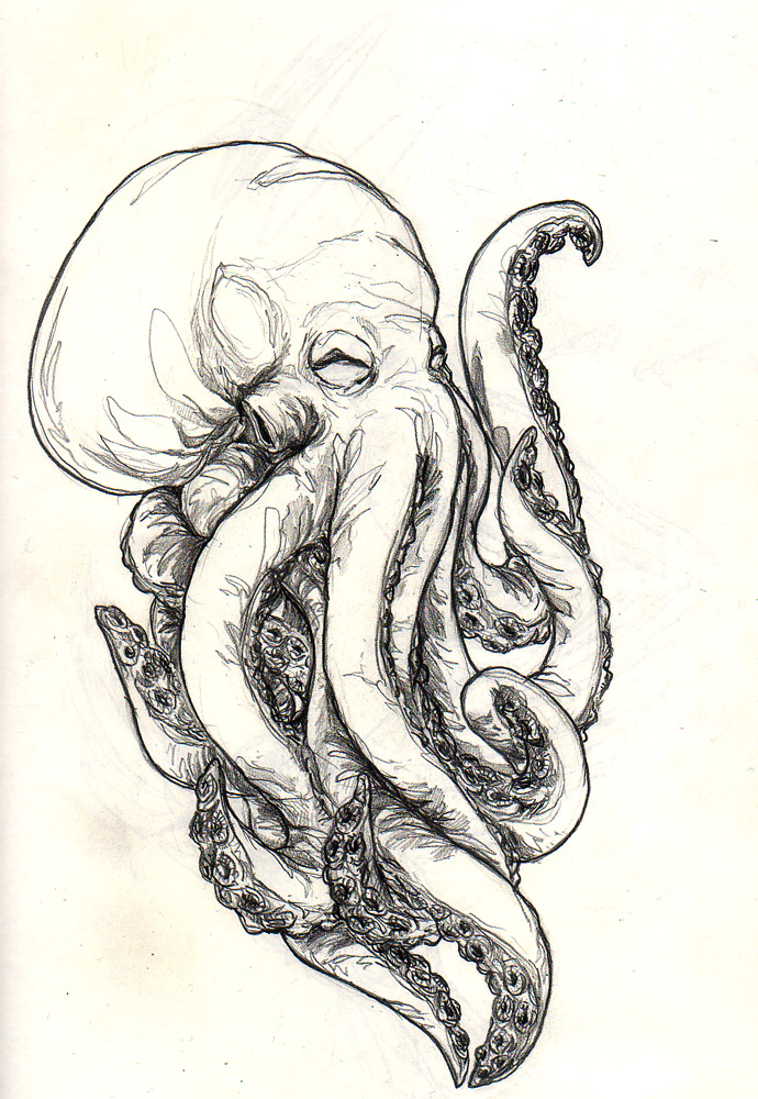 Cephalopod