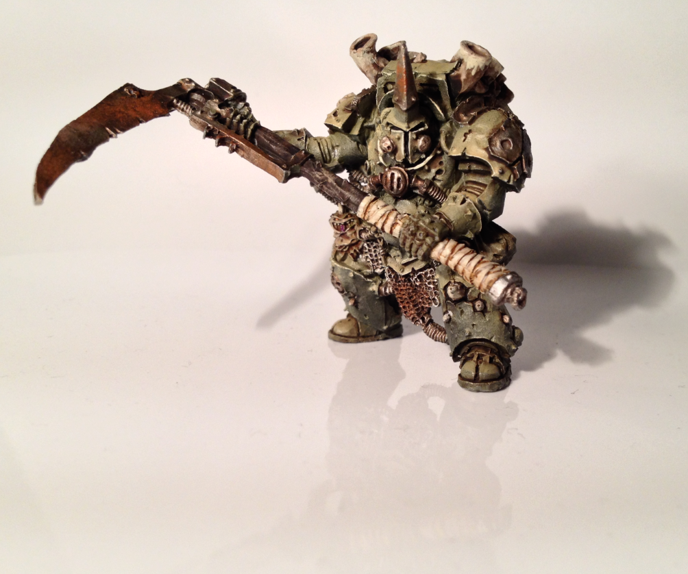 Typhus