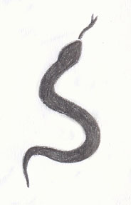 Tattoo - Snake