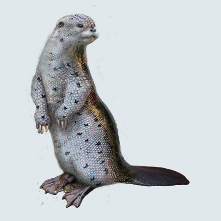 Marsupial Otter - Beutelotter