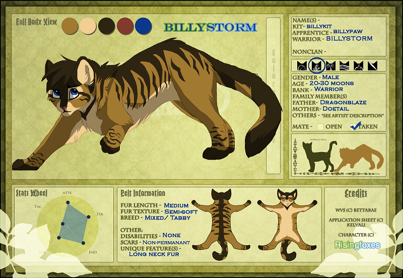 Jayfeather Character Sheet by Nightrizer on DeviantArt