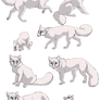 Fox linearts- 10 pack